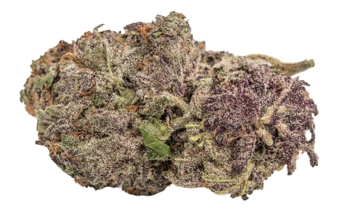 Ultra Violet GMO, Growers Choice - Bild 1