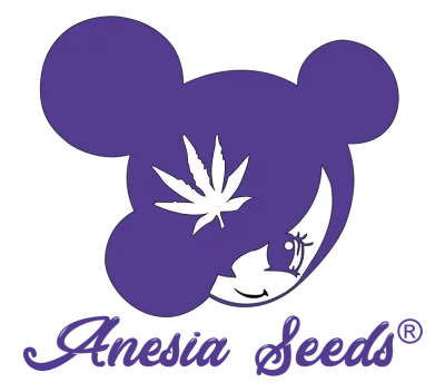 Anesia Seeds